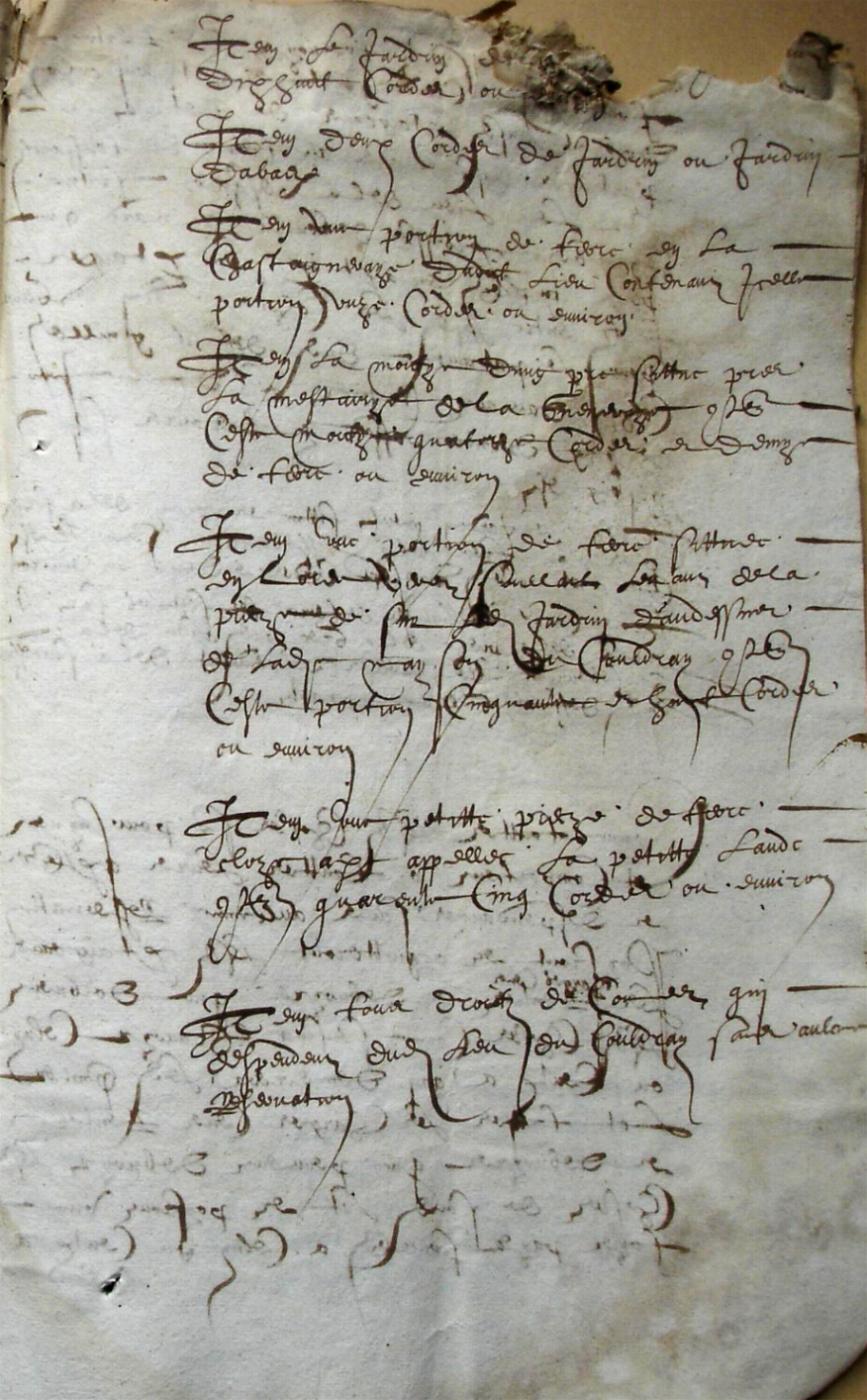 Cohon-G_1615 (11).JPG